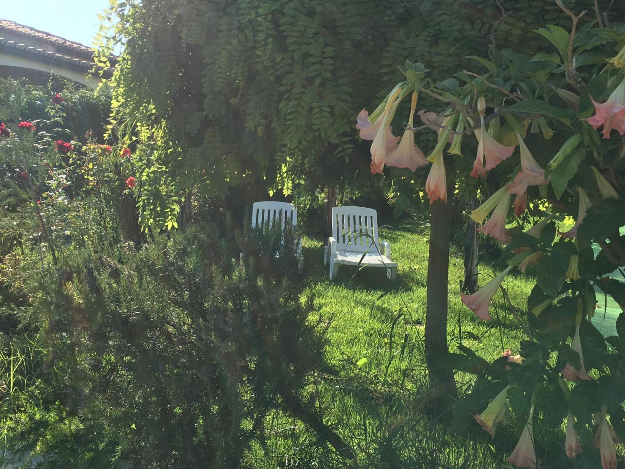 B&B A Casa Di Picci Santa Domenica  Zewnętrze zdjęcie
