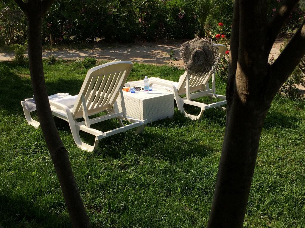 B&B A Casa Di Picci Santa Domenica  Zewnętrze zdjęcie