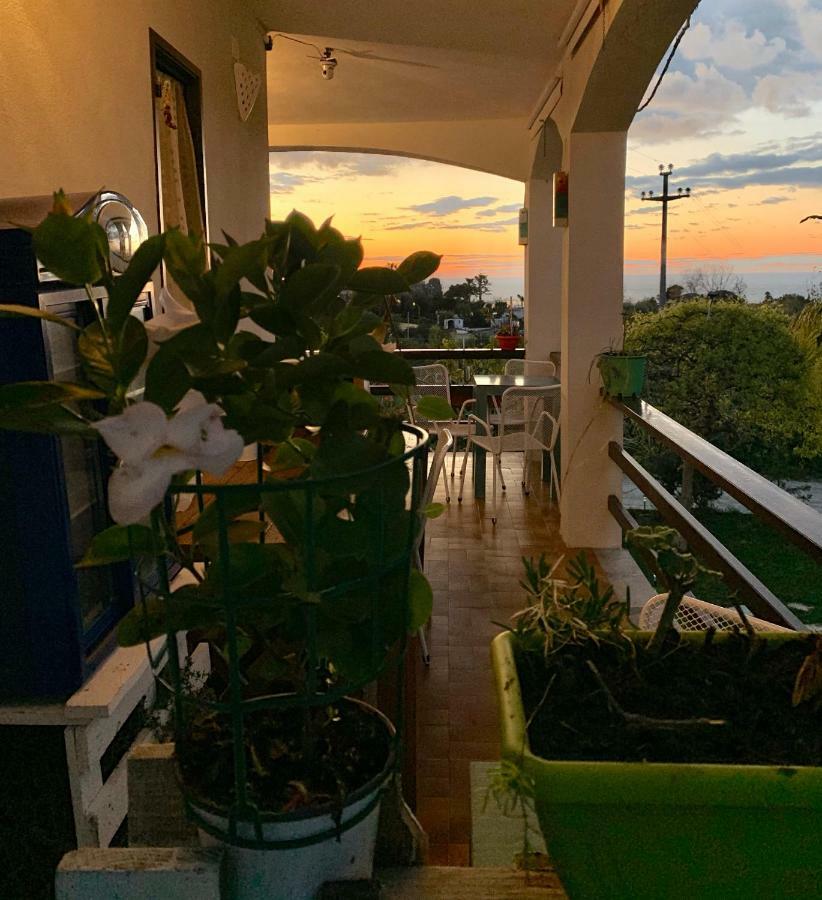 B&B A Casa Di Picci Santa Domenica  Zewnętrze zdjęcie