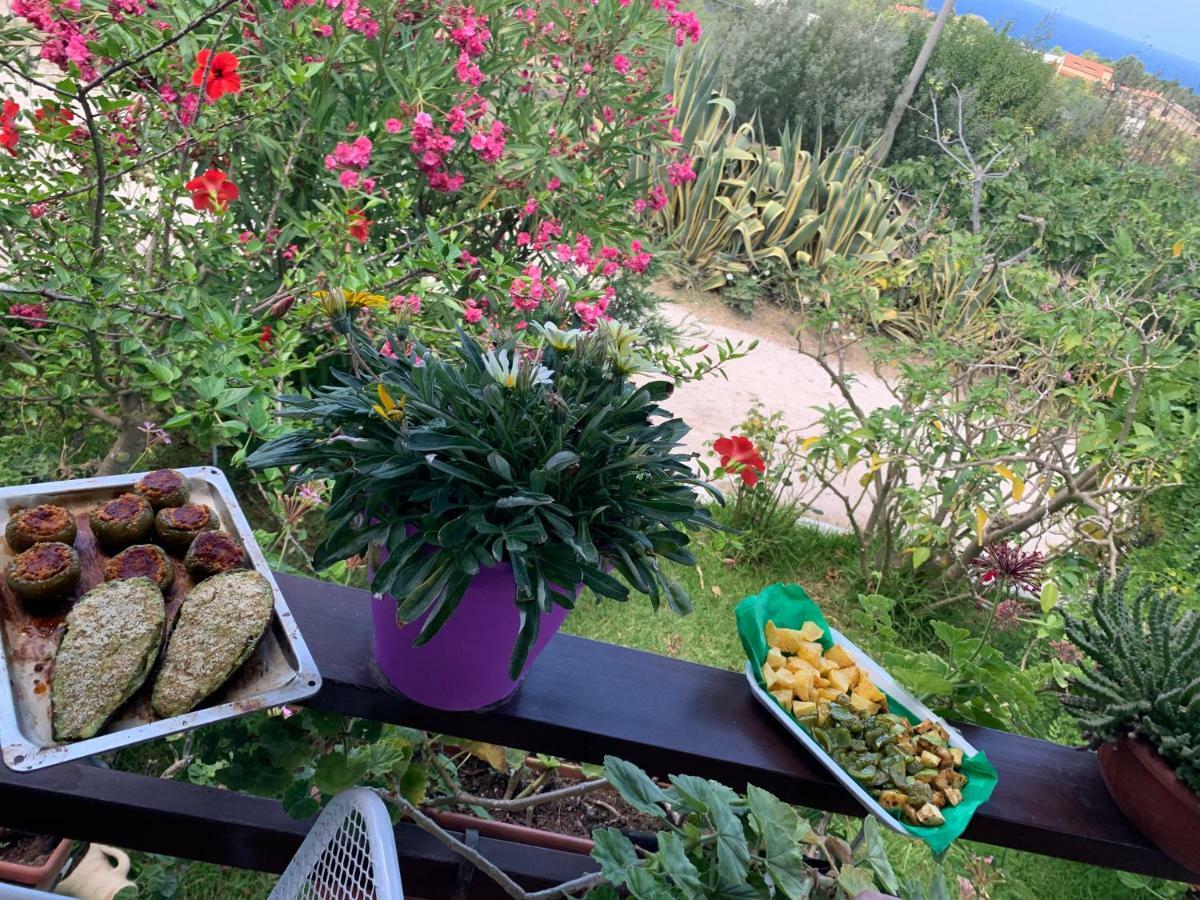 B&B A Casa Di Picci Santa Domenica  Zewnętrze zdjęcie
